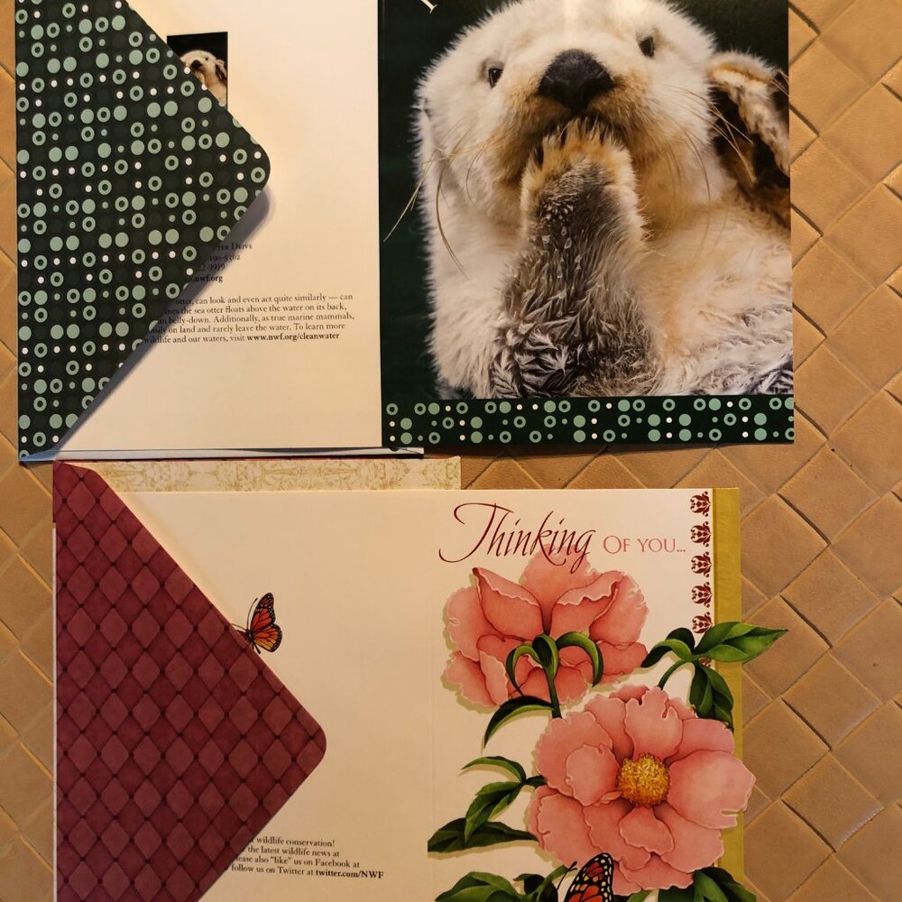 National Wild Life Association Lot of 14 Nature Assorted Cards with Envelopes - Picture 4 of 11